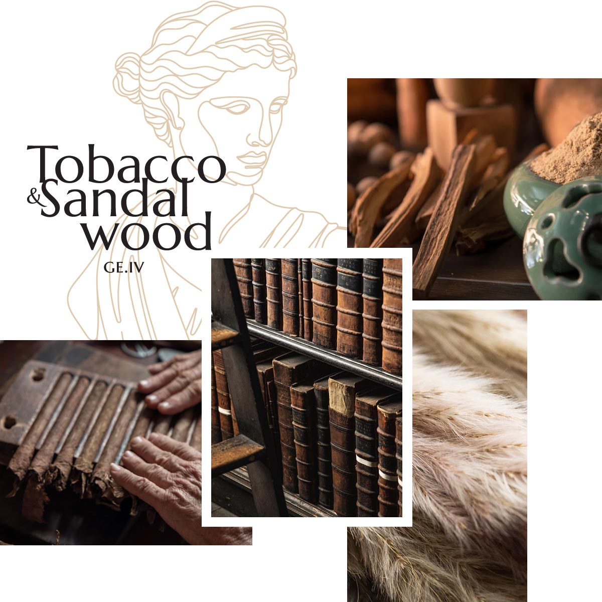 what is tobacco dock The South Vaults Event Space what is tobacco dock The South Vaults Event Space
